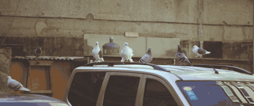 去新加坡留学步骤,新加坡教育网