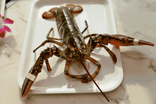 顺义这家店免费吃龙虾,免费吃龙虾,免费吃龙虾!