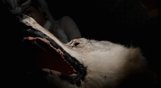 【深圳·门票】锦绣中华民俗村『万圣节夜场早鸟票』 惊喜价39.9（价值85元）；4大主题鬼屋，逼真惊悚场景还原，百鬼齐聚，快来“与鬼狂欢吧”！