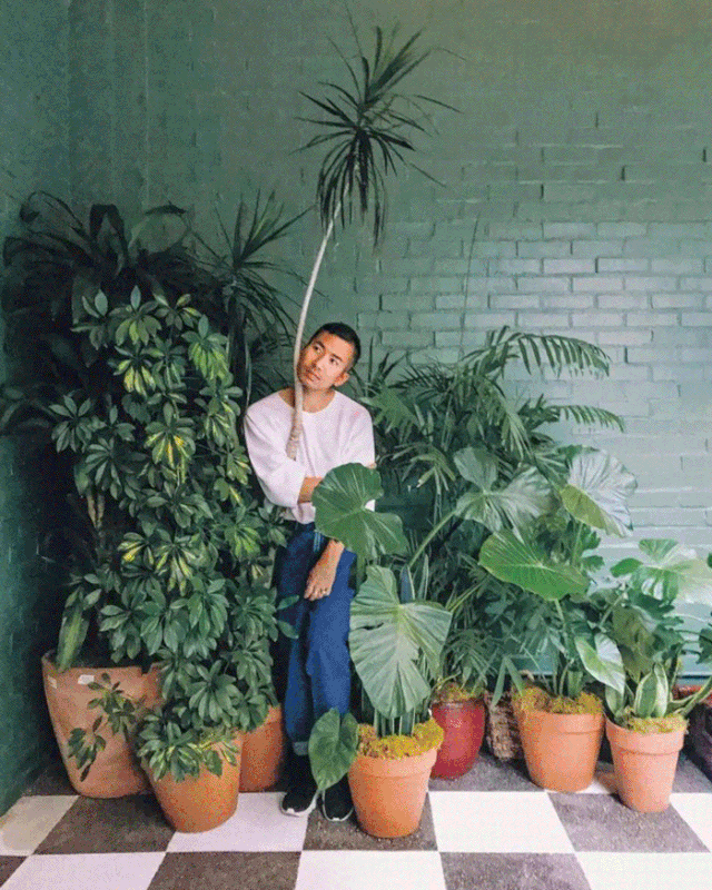 植物系的男生，最迷人！