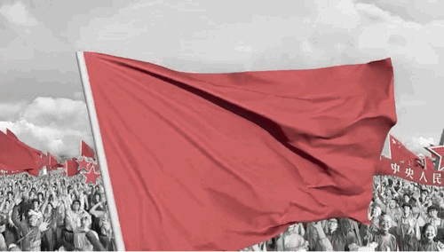 2025-05-26 081743.gif