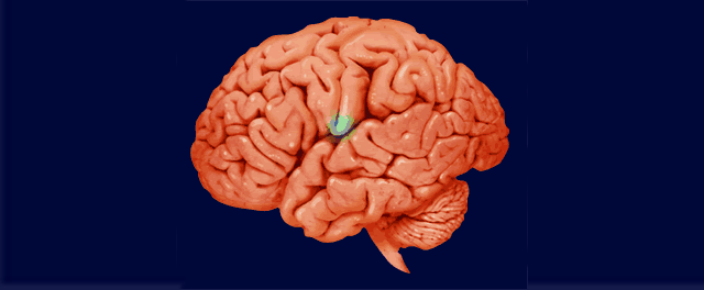 学习不好怎么办？如何提升孩子的学习能力？