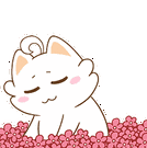 这些人，马上放假半天！_邵阳头条网