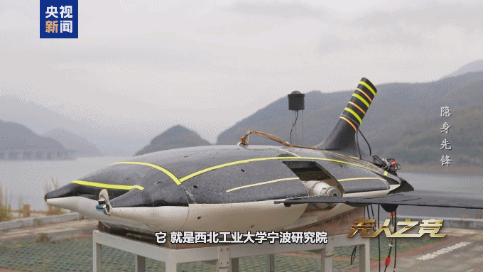 央视7 国产仿生“魔鬼鱼”.gif