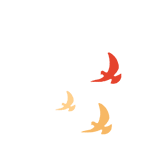 ͼƬ
