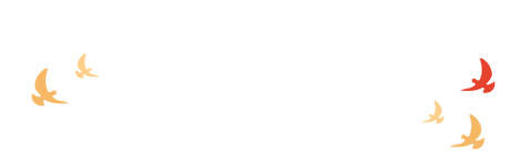 ͼƬ