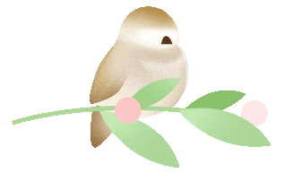 德湿银敷料怎么使用浅谈伤口清创技术及工具_https://www.jmylbn.com_新闻资讯_第1张