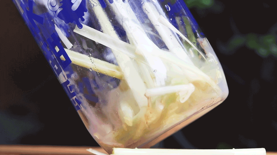 深圳人的椰子茶饮蔻蔻椰专卖铺,开进来福士了!蔻蔻椰龙眼椰子水爆款回归!万物皆可椰