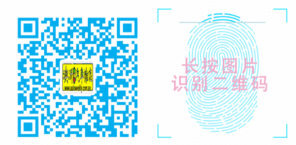 【汽车】新一代COROLLA SEDAN澳洲上市 - 7