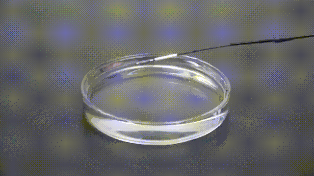 稳合器是什么“风口已至”｜SWIFT™血管封合器：一型适配动静脉， 高效止血稳准快！_https://www.jmylbn.com_新闻资讯_第4张