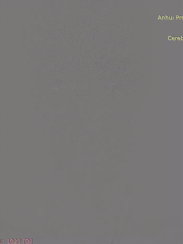 media2 00_00_00-00_00_30.gif