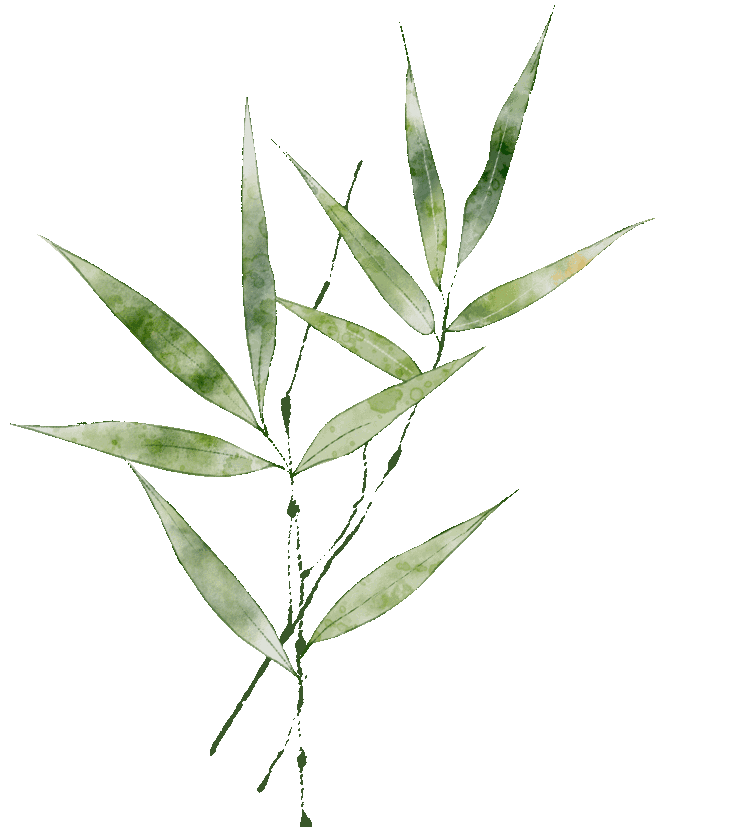 神经介入产品有哪些【风向标】10款神经介入器械或软件最新获批（8.01-8.31）_https://www.jmylbn.com_新闻资讯_第2张