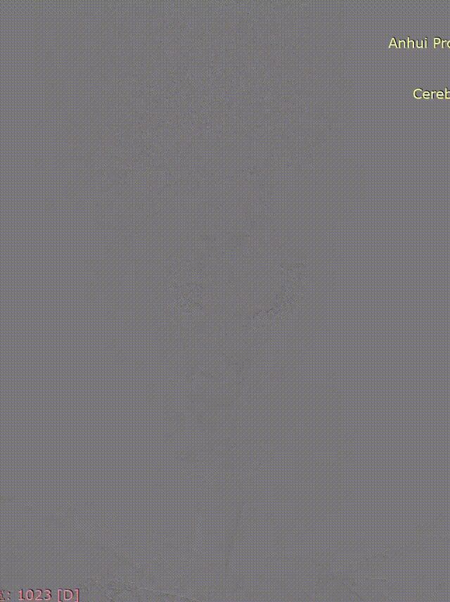 media1 00_00_00-00_00_30.gif