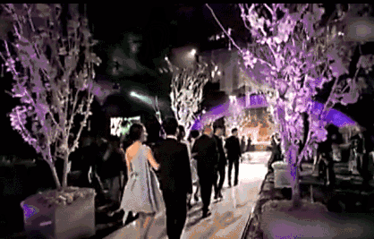 武汉哪家理财公司好_武汉比较好的婚庆公司_武汉 婚庆