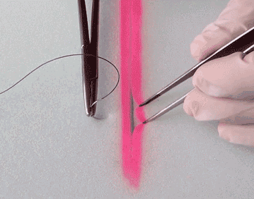 医疗缝线怎么做动图+视频，详解常见手术切口缝合技术_https://www.jmylbn.com_新闻资讯_第31张