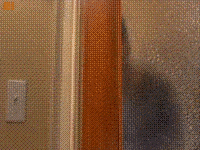 640?tp=webp&wxfrom=5&wx_lazy=1