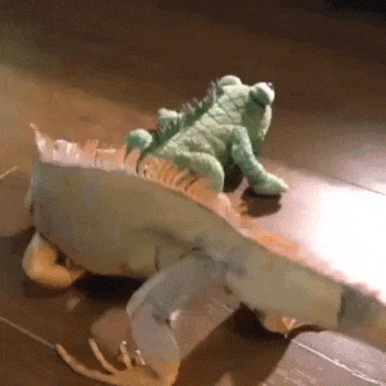 640?tp=webp&wxfrom=5&wx_lazy=1