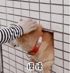 王者荣耀快捷指令大全_王者快捷操作_快捷键回到桌面是哪个