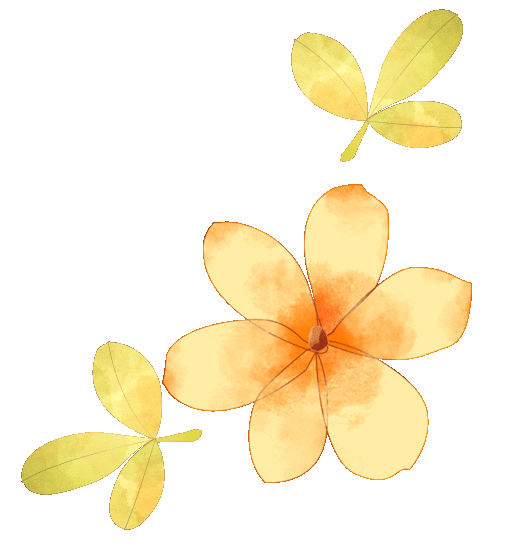 接下来的随州,还有什么看的?随州春季赏花,神农牡丹谷,炎帝故里,映山红,玫瑰主题公园