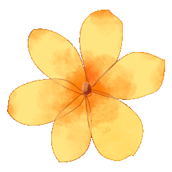 接下来的随州,还有什么看的?随州春季赏花,神农牡丹谷,炎帝故里,映山红,玫瑰主题公园