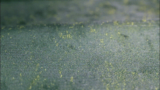 汇明织锦鎏金系列新品发布｜探索“帘”上贴金的至奢时代