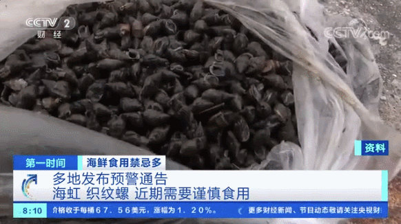 发现它立即举报！女子连吃10多颗织纹螺被送进ICU