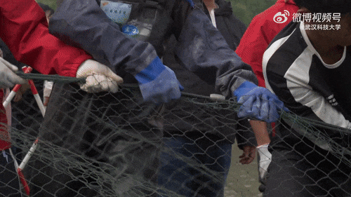 啥条件啊，30000多份？网友：吃不吃的不重要，主要想去摸鱼