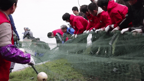 啥条件啊，30000多份？网友：吃不吃的不重要，主要想去摸鱼