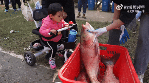 啥条件啊，30000多份？网友：吃不吃的不重要，主要想去摸鱼
