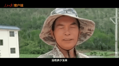 大象“回家”了！这段旅程，也太精彩了......