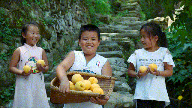 京东云创新空间（怀化）人物专访▏铁坡黄桃哥