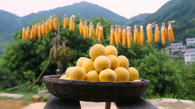 京东云创新空间（怀化）人物专访▏铁坡黄桃哥