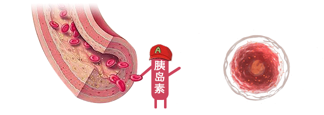 灵芝对糖尿病的七大好处