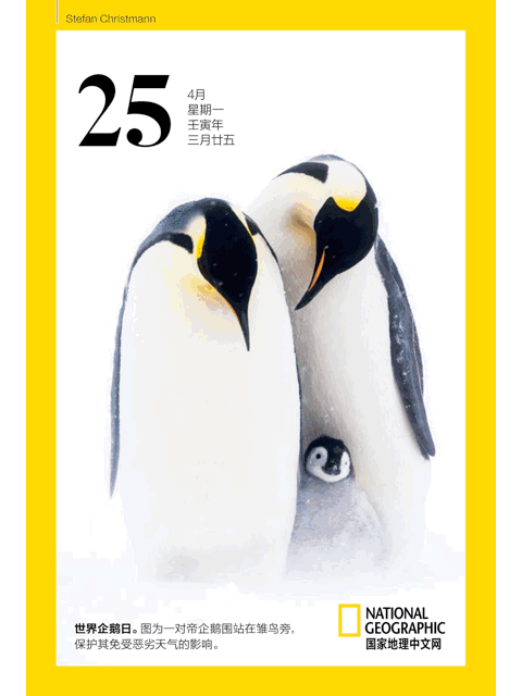 2022�����ҵ���������������365��ÿ��һ�ž��ʴ�Ƭ