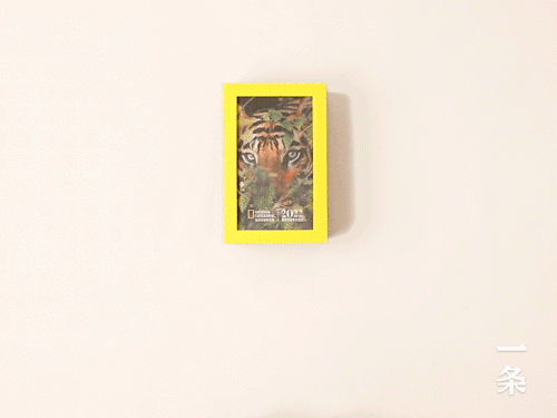 2022�����ҵ���������������365��ÿ��һ�ž��ʴ�Ƭ