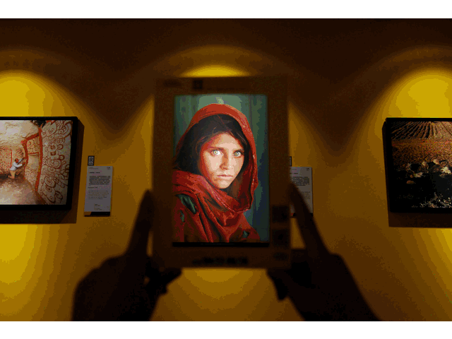 2022�����ҵ���������������365��ÿ��һ�ž��ʴ�Ƭ