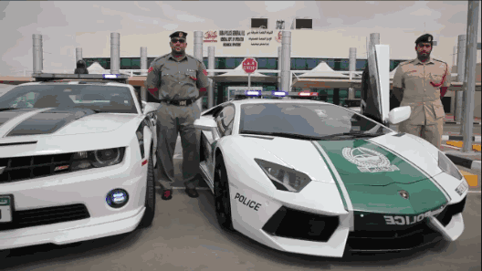 迪拜游 | 这一次，米菲带你上天入地，准备好了吗？