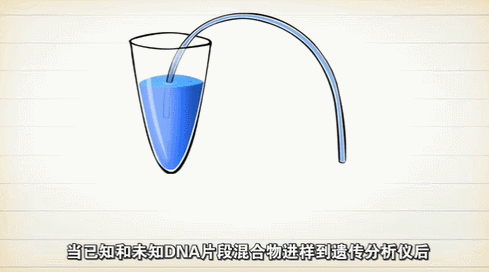 测序金标准之旅丨片段分析这么有用，您pick了吗？