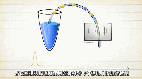 测序金标准之旅丨片段分析这么有用，您pick了吗？