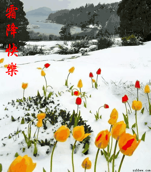 霜降节气幸福开心每一天家庭幸福!吉祥安康生活愉快!