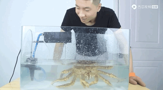 �������Ϲ���Ҳ�����𣿡�