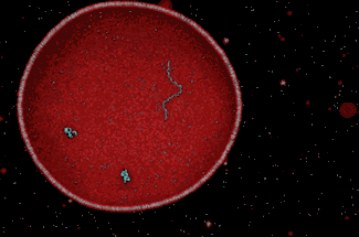 蓝光妇科治疗是什么红蓝光科普系列丨必须要知道的女性健康“拦路虎”！红蓝光来帮忙！_https://www.jmylbn.com_新闻资讯_第23张