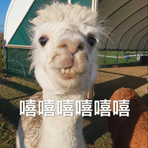 沙雕搞笑故事笑死人(沙雕搞笑斗图表情包笑死人)满满干货 - 故事屋