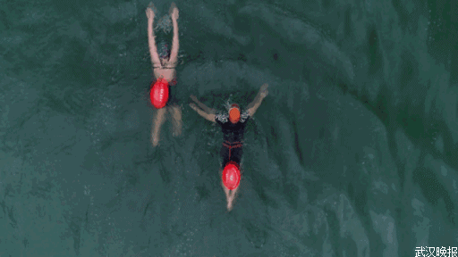 北京游泳教练培训