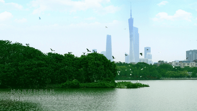 单价低至5.9万【珠光海珠新城】加推95-140㎡，清华附中入驻！