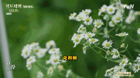 豆瓣9.3，“贵妇姐姐”在山沟里的变形记太好看了