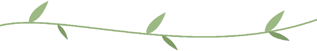 介入引流管怎么关介入超声“针”功夫：小小引流管，打通生命通道_https://www.jmylbn.com_新闻资讯_第4张