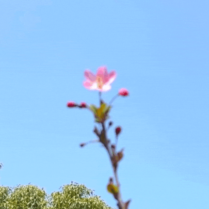 春风十里，正“植”有你——创新创业中心成立一周年回顾