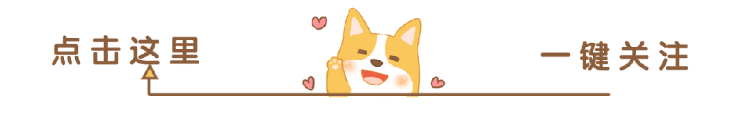 跳出for循环-《Python 循环结构：重复执行任务的魔法》