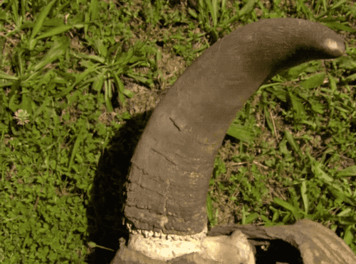 牛角刮痧板怎么存放脸部「松、垂、垮」显老10岁？在家多做这一事，清除面部瘀滞，让颜值“回春”_https://www.jmylbn.com_新闻资讯_第16张